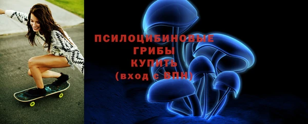 мдпв Иннополис