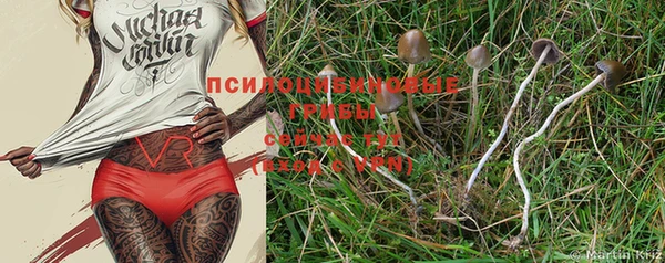 винт Каменногорск